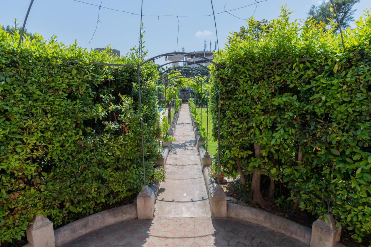 Villa Luisa บารี ภายนอก รูปภาพ